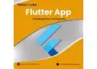 Exclusive Flutter App Development Company in Dallas