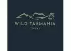 How to Visit Bay of Fires Tasmania - A Guide to Exploring Tasmania's Stunning Coastal Paradise