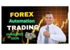 Forex on Autopilot:The Key to Earning Passive Income with Automation