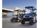 Find the Best Price Golf Cart Rentals Anna Maria