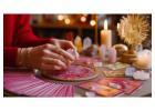 Famous Astrologer in Alambagh