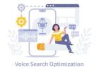 The Digital Marketing in Jalandhar Voice Search Revolution