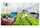 Greenhouse Inventory Software