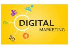 Unlock Growth with the Best Digital Marketing Company in Jalandhar