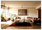 Interior Designers in Delhi