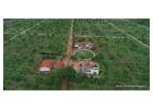 Gated Community Farm land | Gated Farm land near Bangalore | Hosachiguru