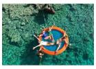 Cherish Your Vacation with Boat Tours Anna maria Island