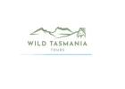 Explore Bay of Fires: Top Tours and Experiences