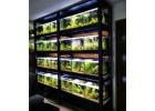 JBJ Rimless Flat Panel 45 Gallon Glass Aquarium with Stand & Cabinet