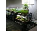 JBJ Rimless Flat Panel 45 Gallon Glass Aquarium with Stand & Cabinet