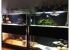 Clear for Life Rectangle 150 Gallon Acrylic Aquarium – Fresh or Saltwater