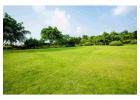 Expert Lawn Care Services in Westerville - Call Today !