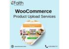 Reliable Woocommerce Product Data Entry Services