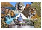 Explore Madhya Pradesh Travel Packages. Book Your Journey Today