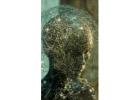 Understanding Neural Plasticity for Brain Health and Growth
