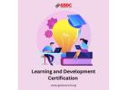 The Ultimate Guide to L&D Certification: Become a Certified Professional