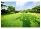 Reliable Lawn Care Services Near You
