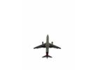 Step-by-Step Guide to Reach Booking.com® Customer Support in the USA