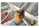 Professional Gutter Vacuum Cleaning Services in Canberra