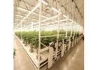 Mobile Vertical Grow Rack System