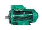 Electric motors need power stability for maximum performance
