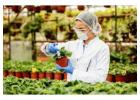 All-in-One Grower Management Software for Greenhouse Operations & Plant Nursery