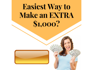 Daily Cash Flow System Daily Cash Flow System