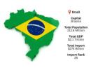 Brazil Import Data | Reliable Customs Records & Trade Reports – ImportGlobals