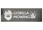 cheap lawn mowing west auckland​--Gorilla Mowing