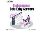 BigCommerce Product Entry Services for Busy Sellers