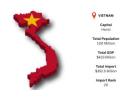 Vietnam Import Data – Updated Shipment Details & Trade Analytics | Import Globals
