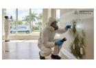 Mold Inspection Experts Florida