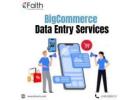 BigCommerce Product Data Entry Made Easy & Reliable