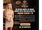 Get the Best Online Cricket ID with Amiribook