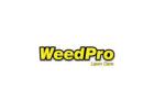 Weed Pro Lawn Care