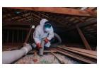 Expert Attic Insulation to Save Energy and Enhance Comfort