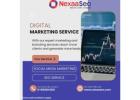Digital Marketing for Startups in Navi Mumbai