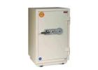 Advanced Security Safe for High-Value Asset Protection & Storage