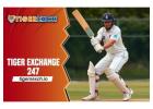 Tiger Exchange 247: Betting ID, Strategies, and Withdrawals