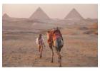 Egypt DMC by Luxxata | Trusted B2B Travel Partner