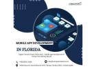 Mobile App Development in Florida | Conquerors Tech