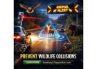 How Smart Technology is Transforming Night Driving Wildlife Safety