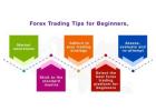 Forex Trading Basic Knowledge: A Simple Guide for Beginners