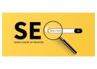 Expert SEO Services for Higher Rankings and Traffic