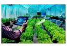 All-in-One Grower Management Software for Greenhouse Operations & Plant Nursery