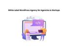 White Label WordPress Agency for Agencies & Startups
