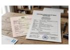 Beyond Words: Why Your Global Ambitions Depend on a Certified Birth Certificate Translation