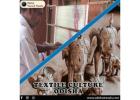 Book your unconventional Tour in Textile Culture Odisha only at Mishra Tours & Travels