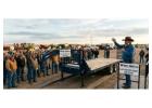 Upgrade Your Fleet with Competitive Trailer Auction Deals
