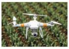 Drone Agriculture Mapping